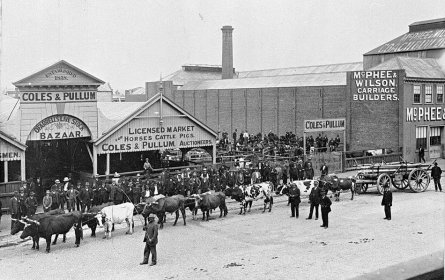 Bullock Team Outside O'Farrells Livestock Bazaar & Coles & Pullum Market, Ballarat, Victoria, circa 1905
